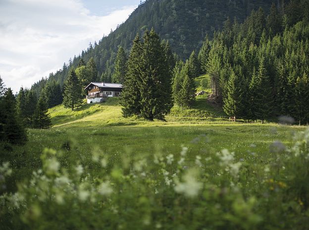 Sommer rund um Bludenz