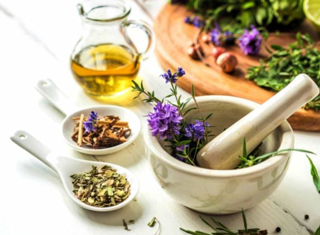 Stadt- & Landmarkt Kräutervielfalt